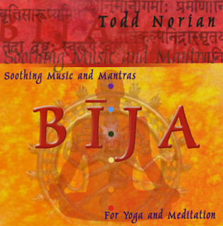 CD von Todd Norian: Bija