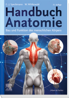 Handbuch Anatomie von Speckmann und Wittkowski