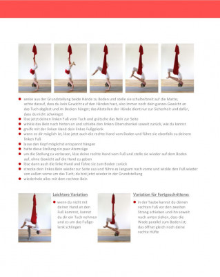 DANA® Aerial Yoga Buch von Dhanya Daniela Meggers