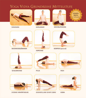 Das Grosse Yoga Vidya Hatha Yoga Buch