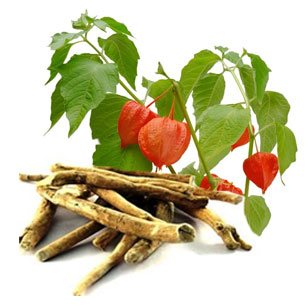 Ashwagandha