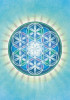 Yoga Vidya "Blume des Lebens" Notizbuch