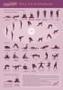 Yoga Übungsplan für Schwangere (A3)