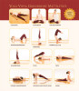 Das große Yoga Vidya Hatha Yoga Buch