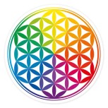 Aufkleber "Bunte Blume des Lebens" (vegan)