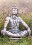 Yoga Vidya "Shiva" Blankbook