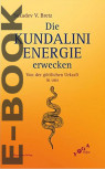 E-Book Die Kundalini-Energie erwecken