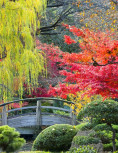 Blankbook Japanischer Garten